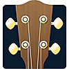Ukulele Music Info