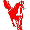 Stallion Moving and Storage Blog