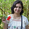Shivani Creations