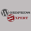 Wordpress Expert