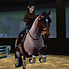 MistyHorse