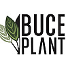 Team Buce Plant