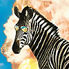 Sneaky Zebra | Youtube