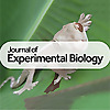 Journal of Experimental Biology