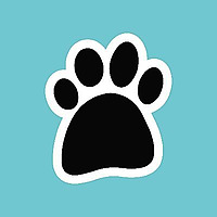 Paws Blog