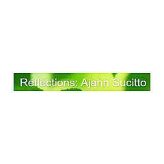 Reflections: Ajahn Sucitto