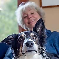 McConnell Publishing Inc.Blog