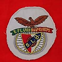 Em Defesa do Benfica