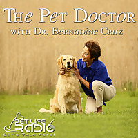 The Pet Doctor - Keeping your pets healthy & pet wellness - Pets & Animals on Pet Life Radio (PetLif
