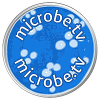 Virology Blog