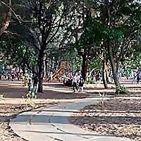 The Healthy City Local