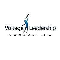 Voltage Leadership Consulting Blog