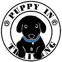 Puppy In Training Blog