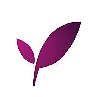 IELTSPractice.com Blog