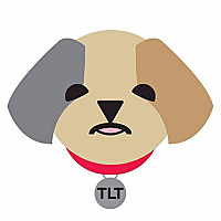 Tenacious Little Terrier