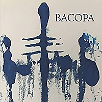 Bacopa Literary Review Editors&#39; Blog