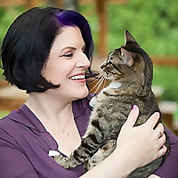 Feline Behavior Solutions Cat Behaviorist