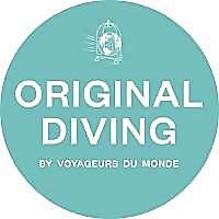 Original Diving Blog