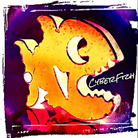 Cyberfizh
