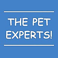 Wheaton Animal Hospital Blog