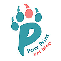 Paw Print Pet Blog