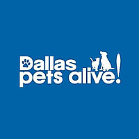Dallas Pets Alive! Blog