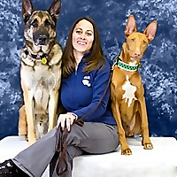 Union Lake | Pet Care Blog