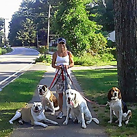 The Teacher's Pets | Professional Pet Sitting Blog
