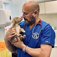 Marc the vet Blog