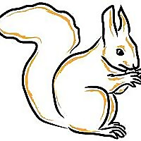 The Crafty Critter | Spring Cards