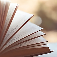 Up 'Til Dawn Book Blog