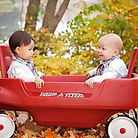 It&#39;s a Twinkie Life