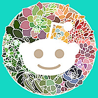 Reddit » Succulent Plants