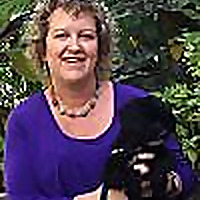 A Pen Lovers Paradise Blog