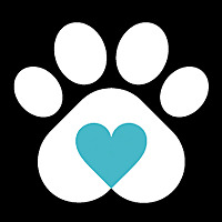 Petside | Dogs