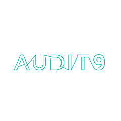 Audit9 Blog