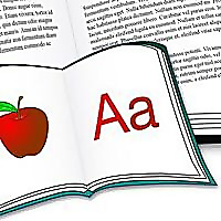 Big Book Little Book