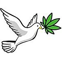 Free the Tree