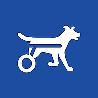 Walkin' Pets Blog