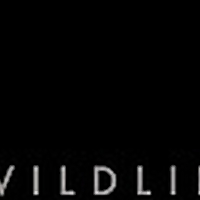 Robert E Fuller's Wildlife Blog