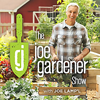 Top 30 Organic Gardening Blogs And Websites In 2021