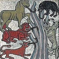 The Five Beasts