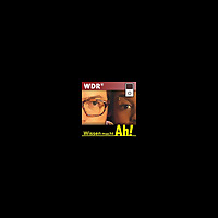 http://www1.wdr.de/mediathek/video/podcast/channel-wissen-macht-ah-100.podcast