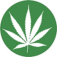 Best CBD Gummies