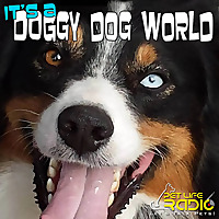 It's A Doggy Dog World - Dog Podcast about dogs as pets & caring for your pet dog, - Pets & Animals 