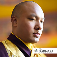 Selected Talks on Buddhism and Meditation by the Karmapa