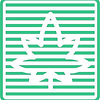 Marijuana Span | The Ultimate Source of Marijuana News