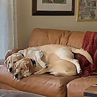 Strong Coffee to Red Wine