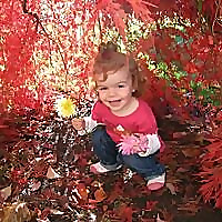 The Parenthood Adventures