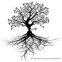 Making Permaculture Stronger
